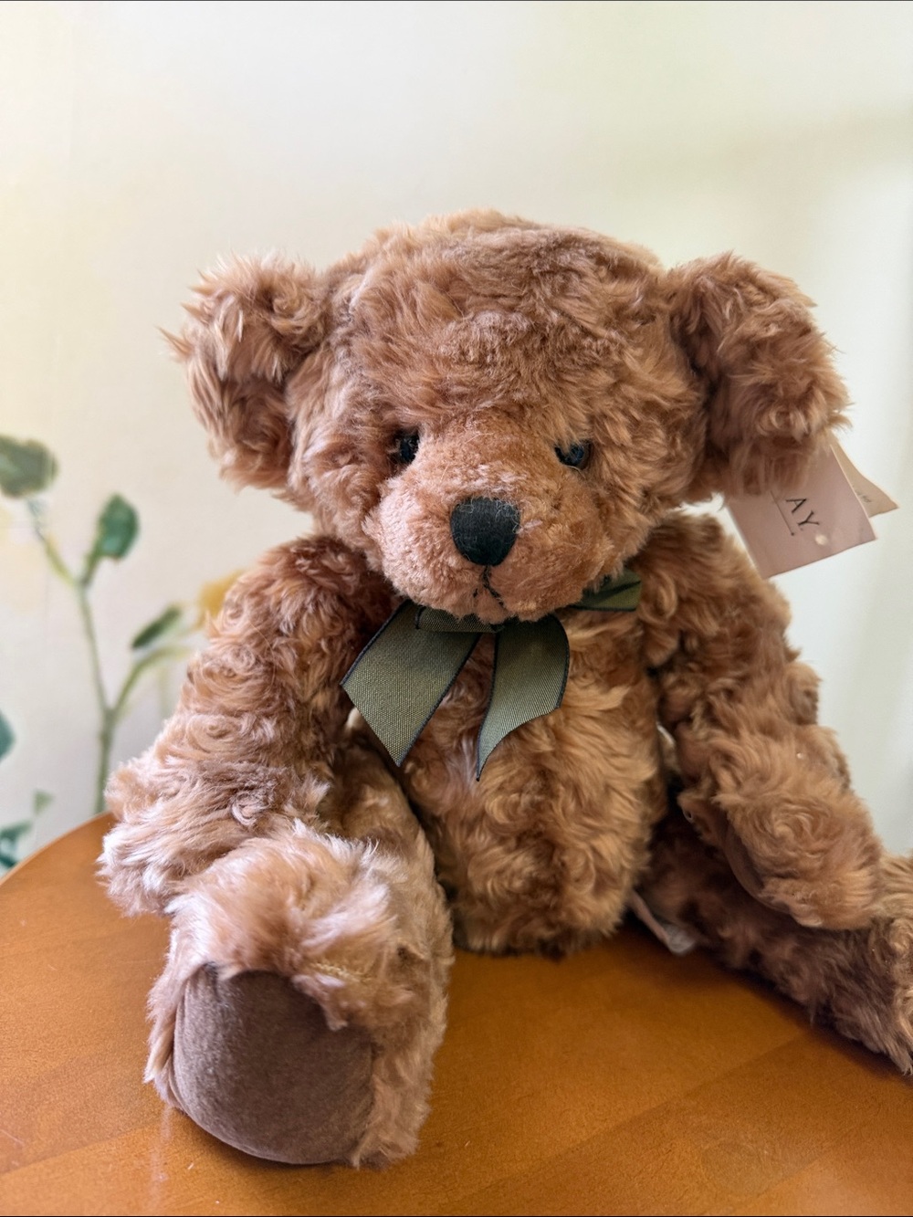 Bombay Vintage Dexter Brown Plush Teddy with Olive Green Bow